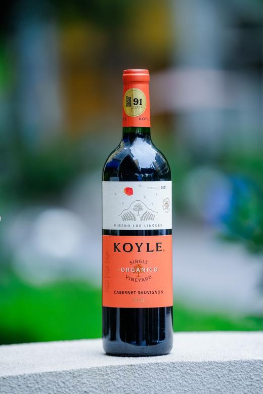 柯莱单一园赤霞珠干红葡萄酒 商品图4