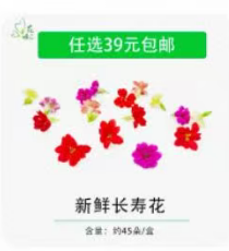 鲜花-长寿花（约45朵）/10g*1盒