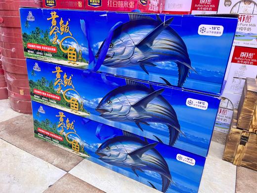 黄金鲅鱼礼盒 商品图1