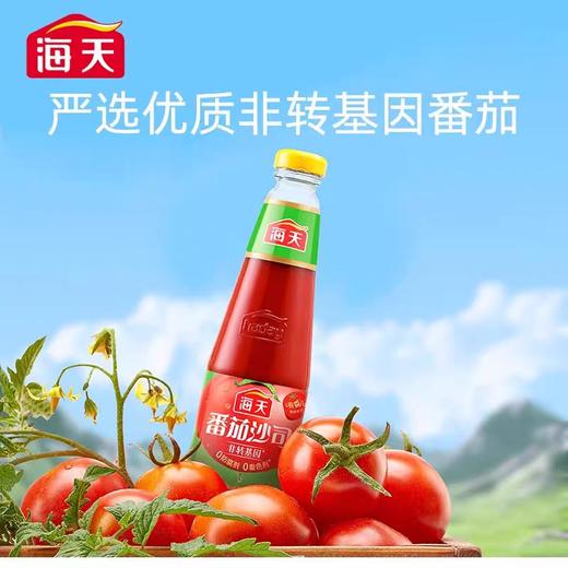 海天番茄沙司 510g*12瓶/件 商品图2