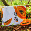 【树熟木瓜】皮薄肉厚口感嫩滑 滋补养颜美味健康（2.10-2.24停发） 商品缩略图3