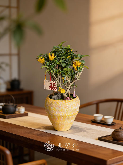 马到福到-金佛手 商品图0