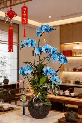 马（玛）瑙呈祥