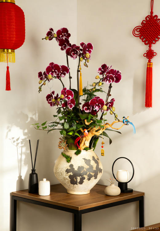 马运亨通 商品图0