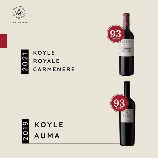 柯莱紫木兰皇家佳美娜⼲红葡萄酒 商品图2