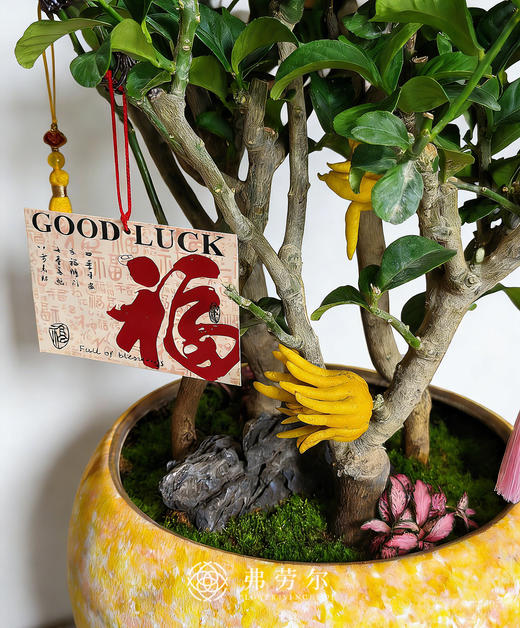 马到福到-金佛手 商品图1