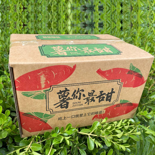 【烟薯25号】软糯香甜 好山好水育好薯~ 商品图4