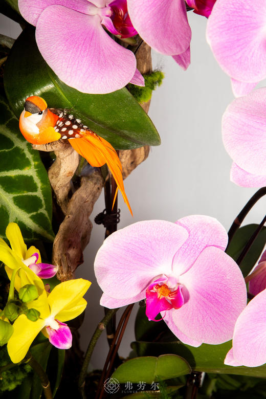 马献灵宝 商品图2