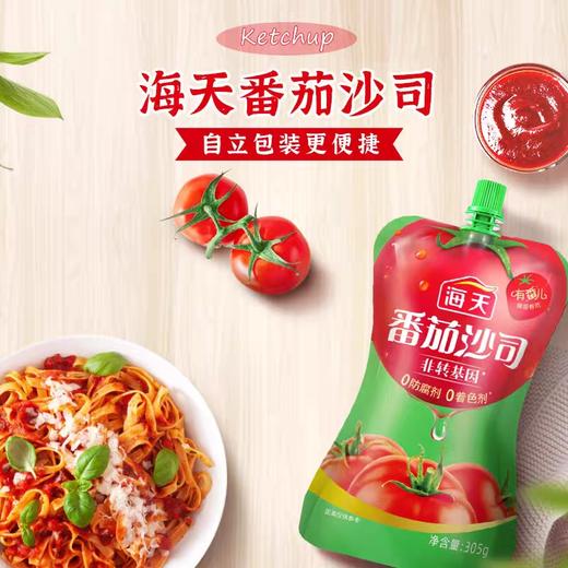 海天番茄沙司(自立袋)305g*16袋/件 商品图1