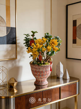 马上有喜-金佛手