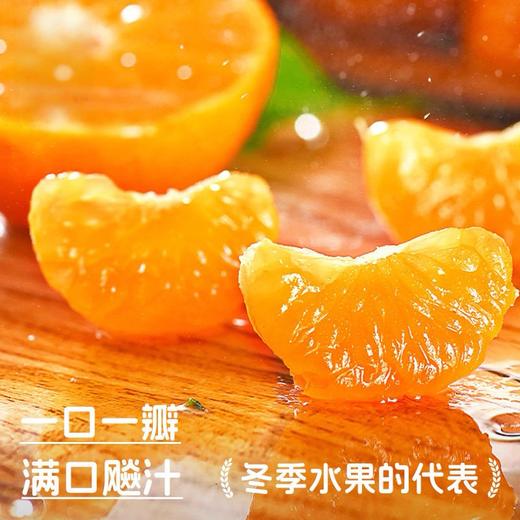 【广西砂糖橘】纯甜爆汁细腻无渣 皮薄肉厚富含维C复） 商品图2