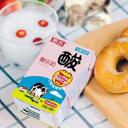 菊乐酸乐奶含乳饮料整件装 250ml*24盒/提 商品图3