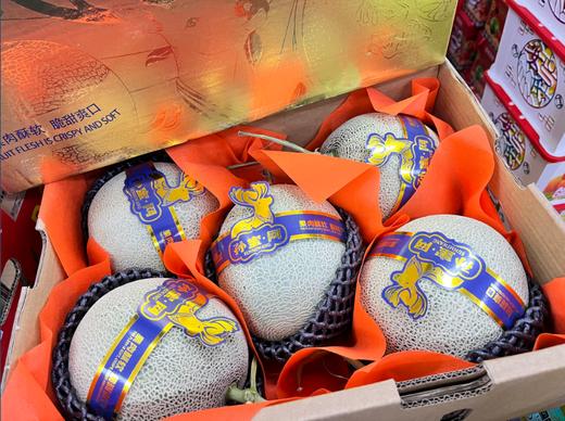 孙蜜网纹蜜瓜一箱 商品图0