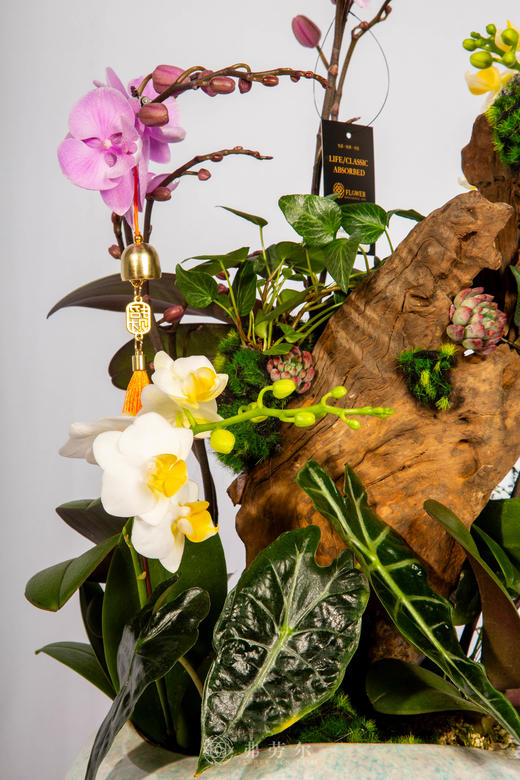 马跃千祥 商品图2