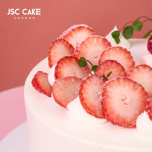 双拼红彤彤（8英寸)SC 商品图4