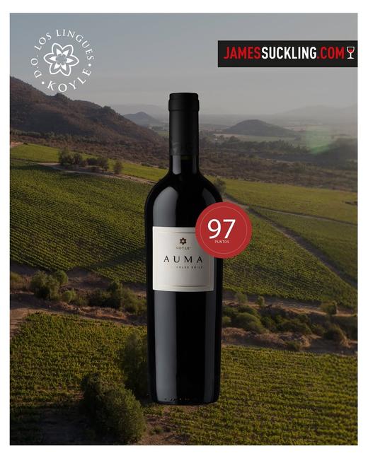 柯莱欧玛混酿⼲红葡萄酒2019 商品图2