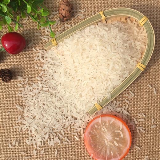 【严选】湖北潜江虾稻米新米南方长粒籼米10斤真空装 江汉大米虾香稻5kg/袋（厂家直发） 商品图6