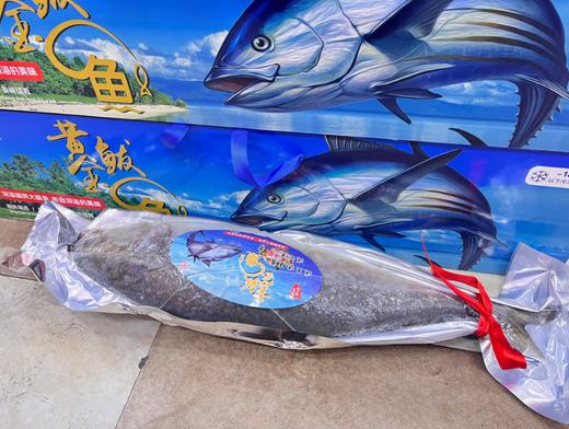 黄金鲅鱼礼盒 商品图2