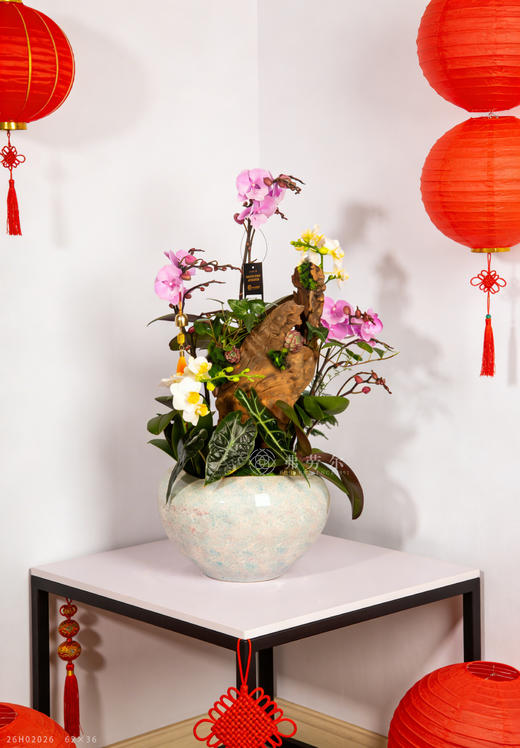 马跃千祥 商品图0