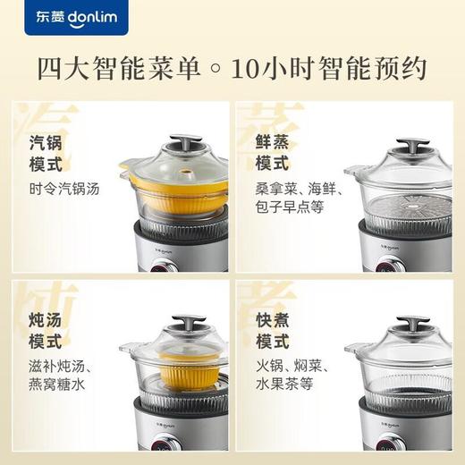 东菱 多功能蒸炖锅  家用电蒸锅粥蒸汽锅隔水炖电火锅火锅中式料理锅DL-9009 商品图1