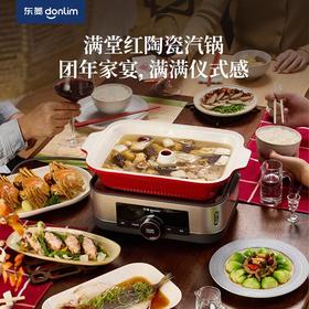 东菱家用多功能电蒸锅 DL-1005