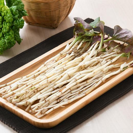 带叶折耳根/份 商品图3