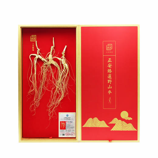 正安·国检认证野山参 长白山人参基地直采  一参一证  溯源可查【不可用券】 商品图1