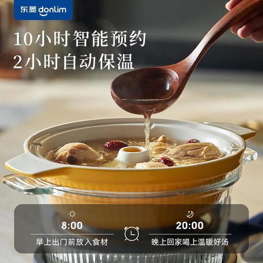 东菱 多功能蒸炖锅  家用电蒸锅粥蒸汽锅隔水炖电火锅火锅中式料理锅DL-9009 商品图2