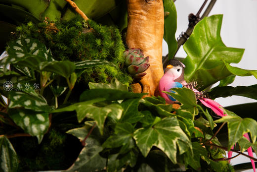 马上有福 商品图3