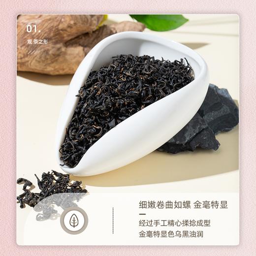 【祁门红茶】乌润卷曲金毫显露 蜜香浓郁醇厚回甘（2.15-2.22停发） 商品图7