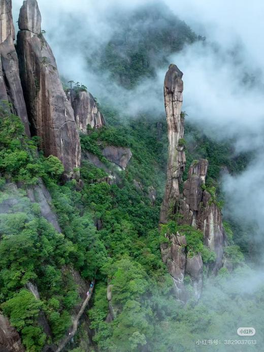 江西&安徽·寻仙游记 - 纯玩双飞7日游【邻居专团】 商品图11