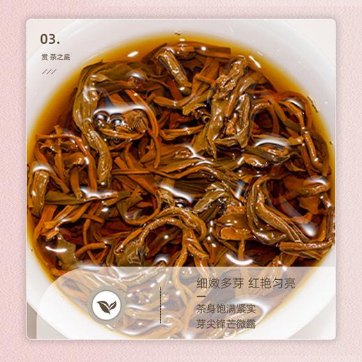 【祁门红茶】乌润卷曲金毫显露 蜜香浓郁醇厚回甘（2.15-2.22停发） 商品图9