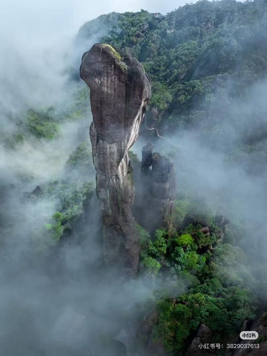 江西&安徽·寻仙游记 - 纯玩双飞7日游【邻居专团】 商品图12