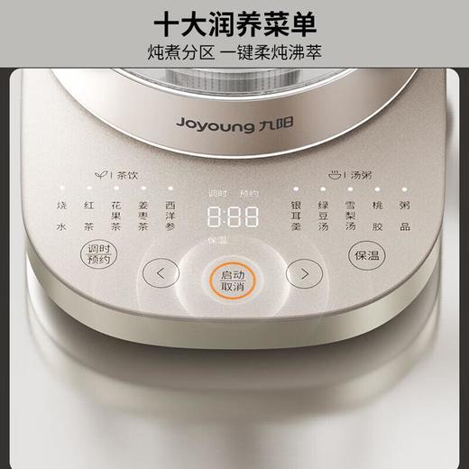 九阳养生壶WY196 商品图2