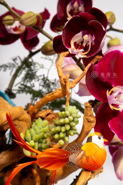 马上加薪 商品图2