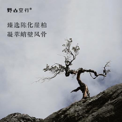 崖柏线香试用装 商品图1