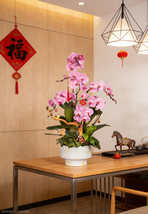 马上有福 商品图1