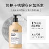 进口西班牙欧莱雅PRO高端修护奶酪瓶洗发水改善毛躁 500ml/瓶 商品缩略图4