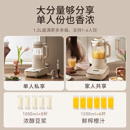 九阳（Joyoung）变频轻音破壁机B6-奶白色 商品图2