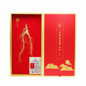 正安·国检认证野山参 长白山人参基地直采  一参一证  溯源可查【不可用券】