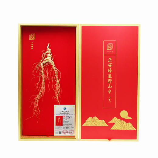 正安·国检认证野山参 长白山人参基地直采  一参一证  溯源可查【不可用券】 商品图0