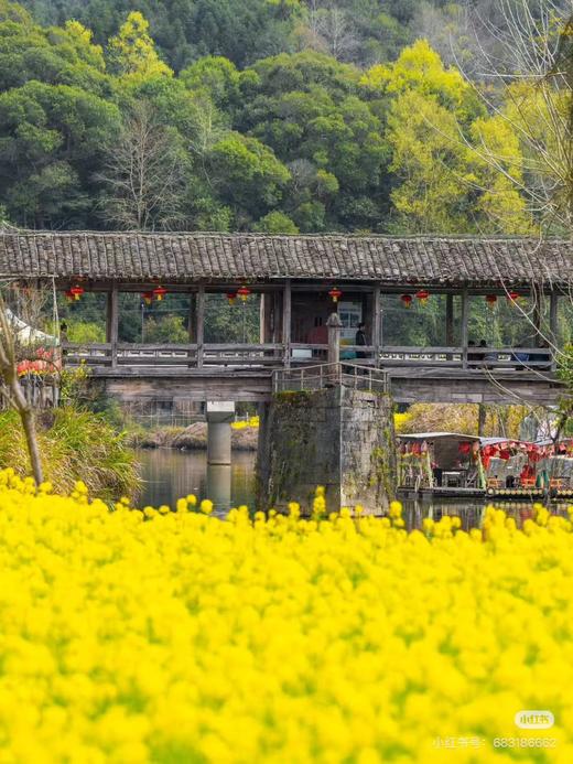 江西&安徽·寻仙游记 - 纯玩双飞7日游【邻居专团】 商品图2