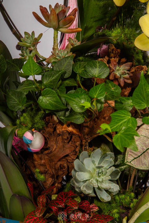 马上好运 商品图3