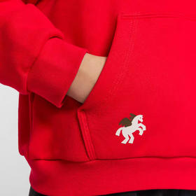 KW 套头卫衣（毛圈）