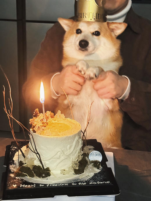 风栖山野（提前两日预定） 商品图11