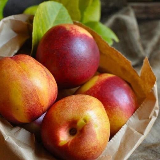 智利油桃（单果140-170g+) 约300g/份 商品图2