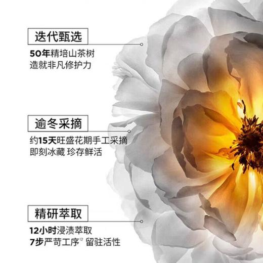 欧莱雅卡诗山茶花经典香氛护发油 75ml/瓶 商品图1