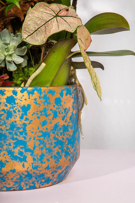 马上好运 商品图4