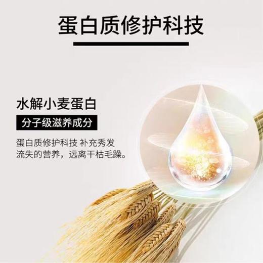 进口西班牙欧莱雅PRO高端修护奶酪瓶洗发水改善毛躁 500ml/瓶 商品图3