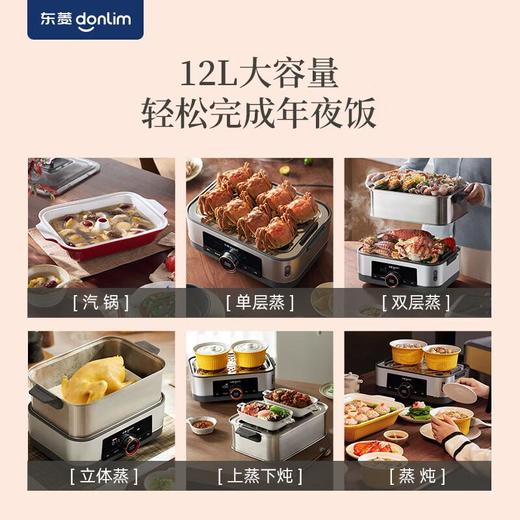 东菱家用多功能电蒸锅 DL-1005 商品图2